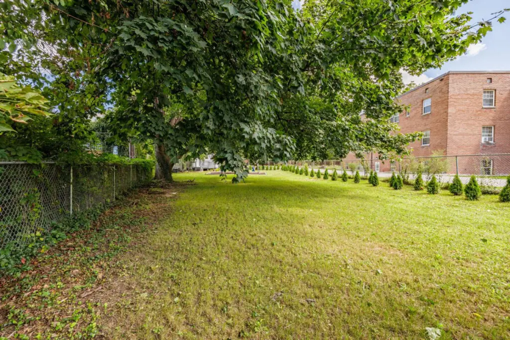 133658 430498 jrb9E QJhIjkO WFAEt HYVIblp2vZvUn7fQoGf5aDs 68bb6b93454be.jpg