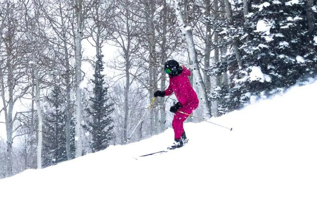 133658 444111 QGW2Ymyt2NHJaPeCeksJqZb2k4OK5QUxpxJ29Om87UU 68f5042b5cb89.jpg