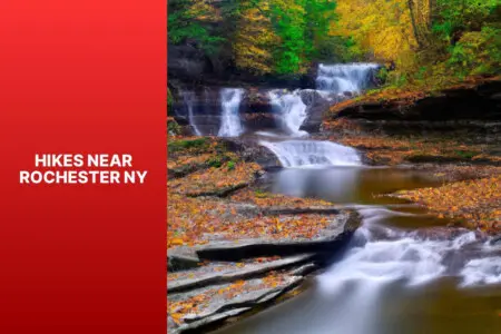 133658 444111 Ru3TiHBAivnoKDsOpRsnRZt7NJFHzKmHX2yoQ6vtnmg 68f50434c135d.jpg