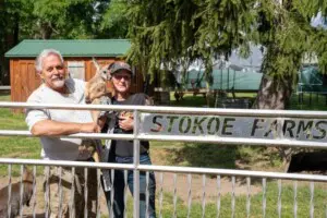 Stokoe Farms Rochester NY kangaroo encounter