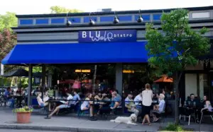 Important Places to Eat Near Park Ave College Town UofRochester NY Blu Wolf Bistro