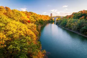 Family Friendly Travel Guide in Rochester NY Fall Season