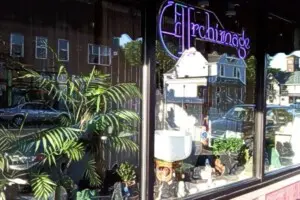 Archimage Monroe Avenue Rochester NY window