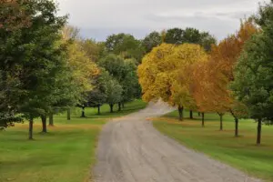 Mendon Ponds Park Rochester NY Trail