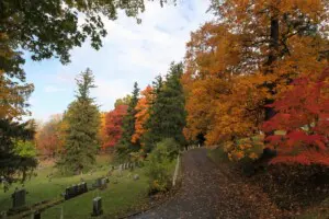 Mount Hope Cemetery Rochester NY