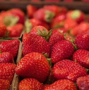 Fresh Produce at Wegmans East Ave
