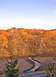 Durand Eastman Park