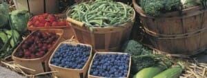 Lagoner Farms Rochester NY farm market produce
