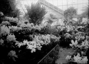 Lamberton Conservatory Rochester NY Lamberton Conservatory Rochester NY