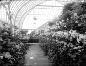 Lamberton Conservatory Rochester NY Lamberton Conservatory Rochester NY