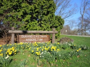 Durand Eastman Park Durand Eastman Park