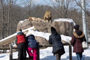Seneca Park Zoo Rochester NY