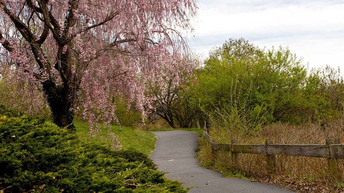 Highland Park Rochester NY