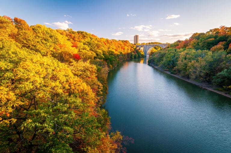 Fall in Rochester NY