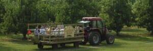 Lagoner Farms Rochester NY wagon rides
