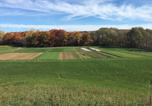 Wild Hill Farm Rochester NY