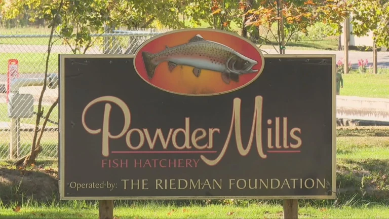 Powder Mill Park Rochester NY