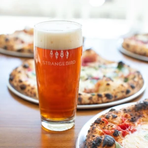 Strangebird Rochester NY