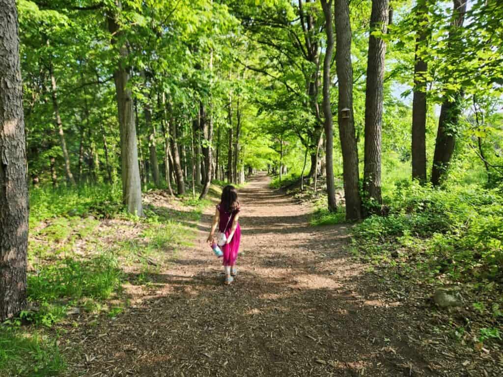 Woodland path through Birdsong Fairy Trail