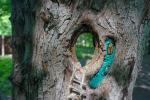 Painted fairy door on a tree along Birdsong Fairy Trail Painted fairy door on a tree along Birdsong Fairy Trail