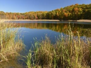 Mendon Ponds Park landscape Mendon Ponds Park landscape