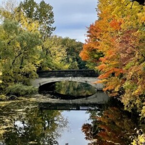Scenic bridge over the Red Creek in Genesee Valley Park Scenic bridge over the Red Creek in Genesee Valley Park