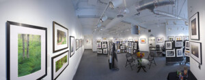 Image City Photography Gallery in Rochester NY