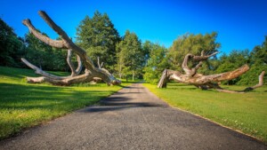 Walking trail at Genesee Valley Park Walking trail at Genesee Valley Park