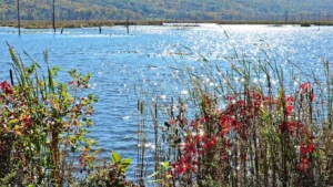 Scenic view of Conesus Lake Scenic view of Conesus Lake