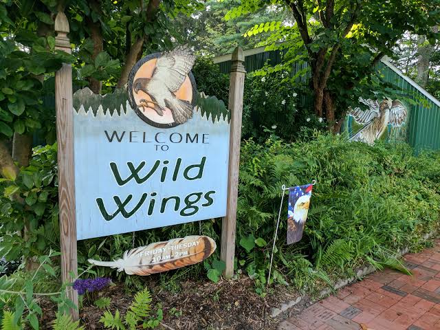 Wild Wings Nature Center Rochester NY