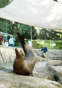Seneca Park Zoo Rochester NY Seneca Park Zoo Rochester NY