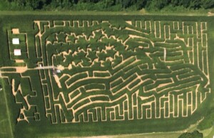 Amazing Maize Maze at Long Acre Farms