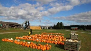 Stokoe Farms Rochester NY