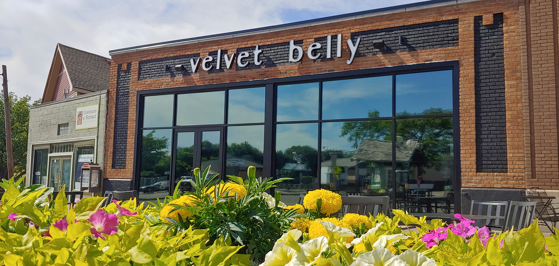 Velvet Belly Rochester NY