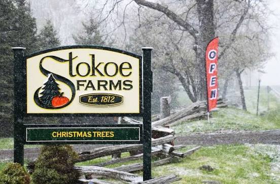 Stokoe Farms Rochester NY
