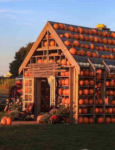 Wickham Farms near Rochester NY