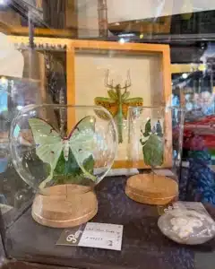 Unique Rochester finds at Pretty Apothecary Unique Rochester finds at Pretty Apothecary