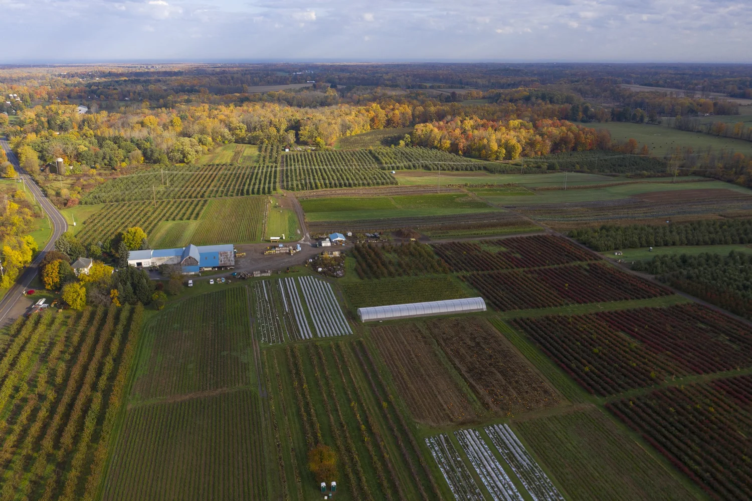G and S Orchards aerial view