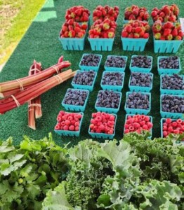 Fresh produce at the G and S Orchards Fresh produce at the G and S Orchards