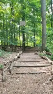 Winding woodland trail through Washington Grove Winding woodland trail through Washington Grove
