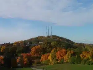 Cobbs Hill Park near Washington Grove