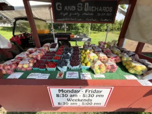 G and S Orchards farm stand G and S Orchards farm stand