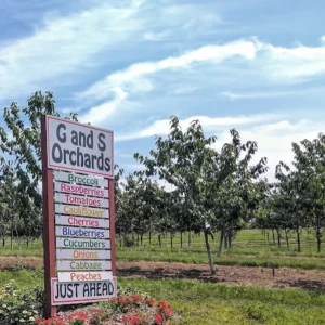 G and S Orchards signage G and S Orchards signage